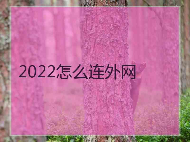 2022怎么连外网