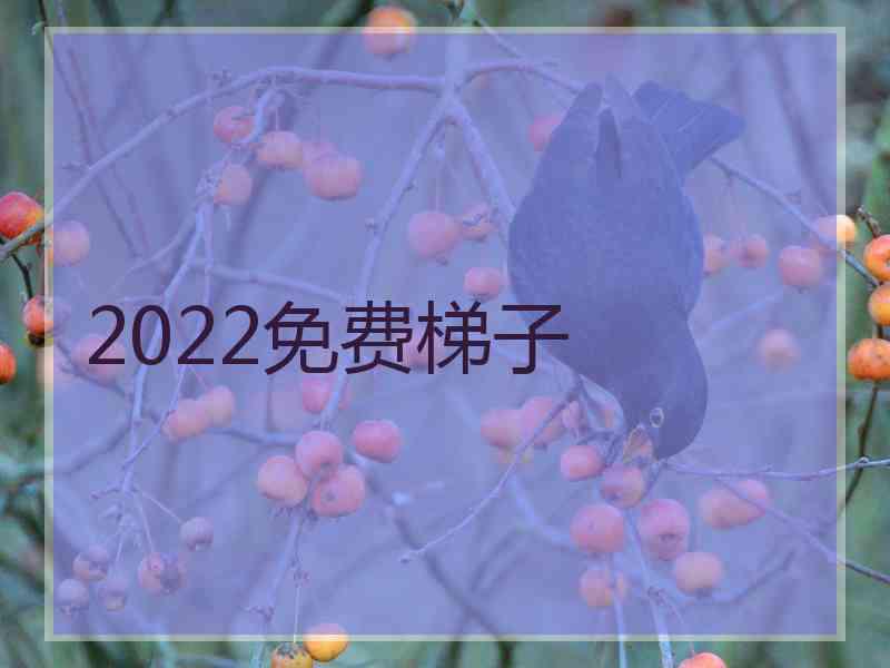 2022免费梯子