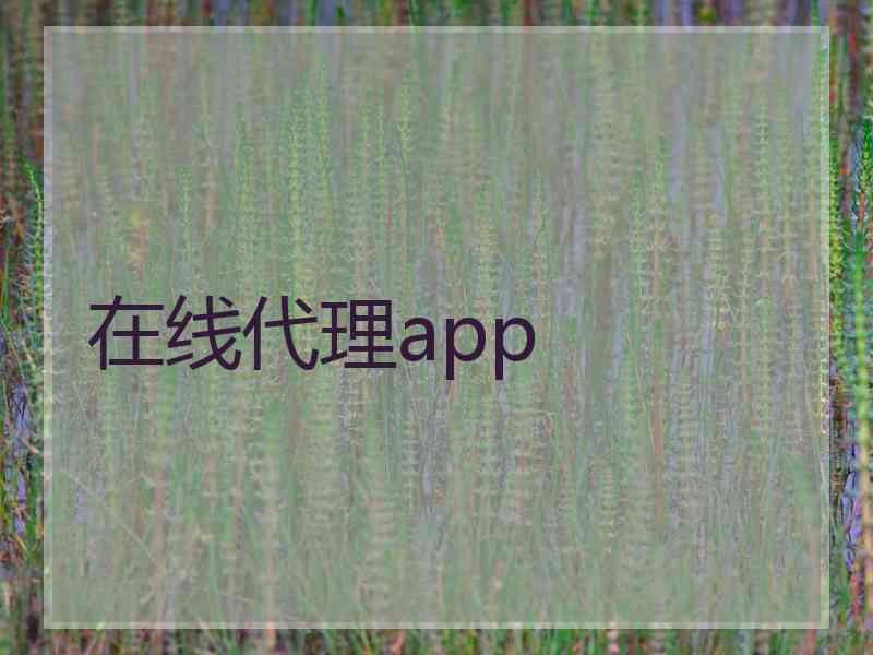 在线代理app