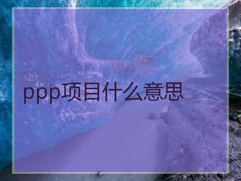 ppp项目什么意思