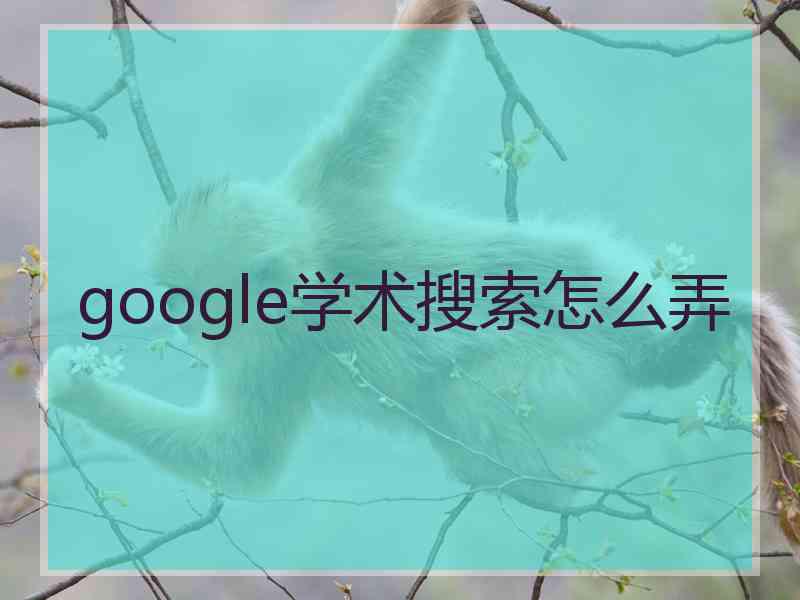 google学术搜索怎么弄