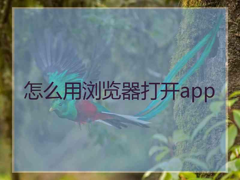 怎么用浏览器打开app