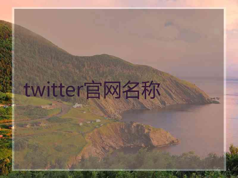 twitter官网名称