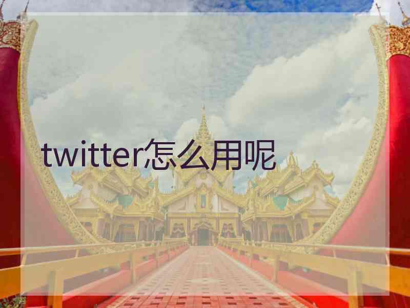 twitter怎么用呢