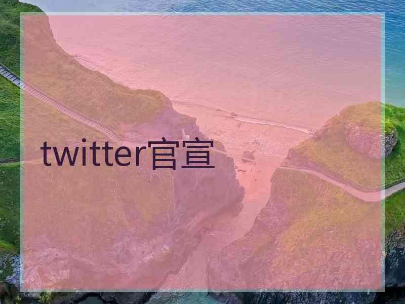 twitter官宣