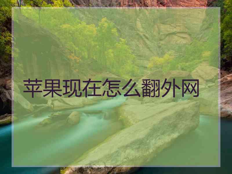 苹果现在怎么翻外网