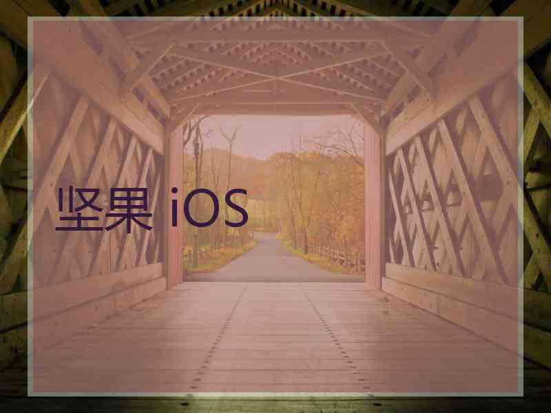 坚果 iOS