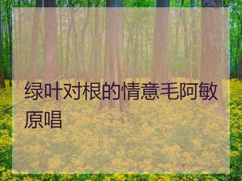 绿叶对根的情意毛阿敏原唱