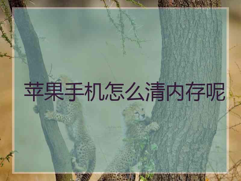 苹果手机怎么清内存呢