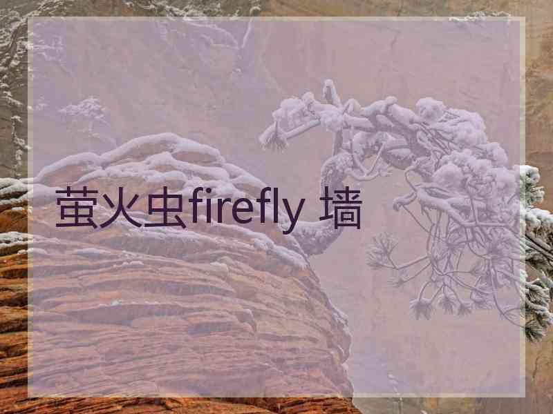 萤火虫firefly 墙