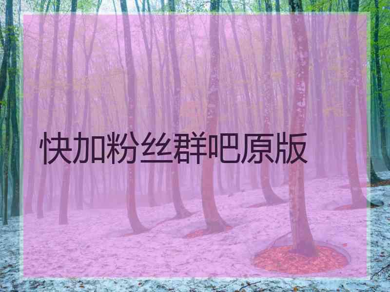 快加粉丝群吧原版