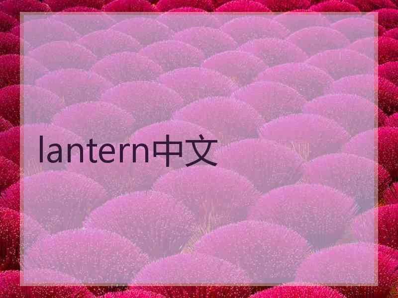 lantern中文