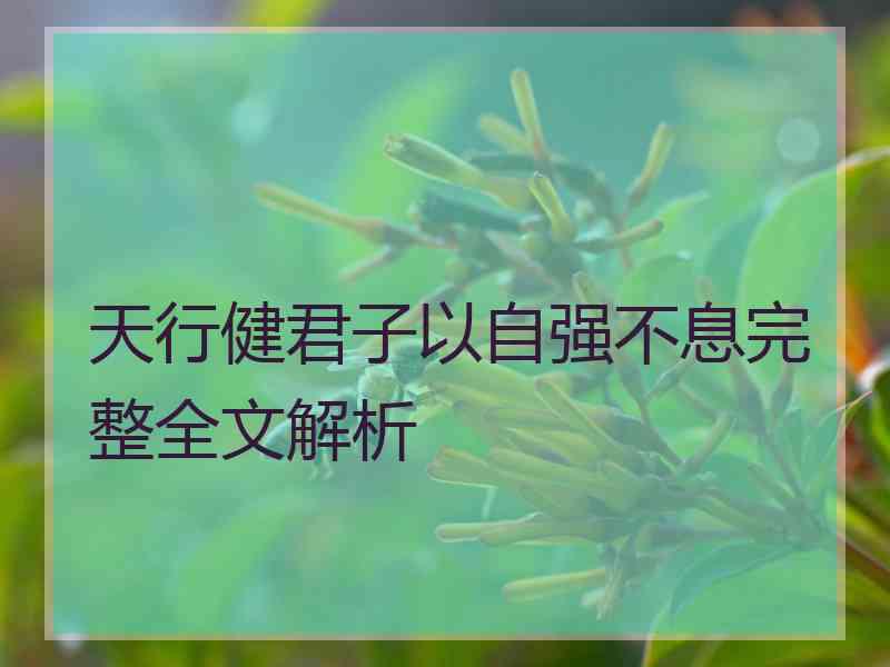 天行健君子以自强不息完整全文解析