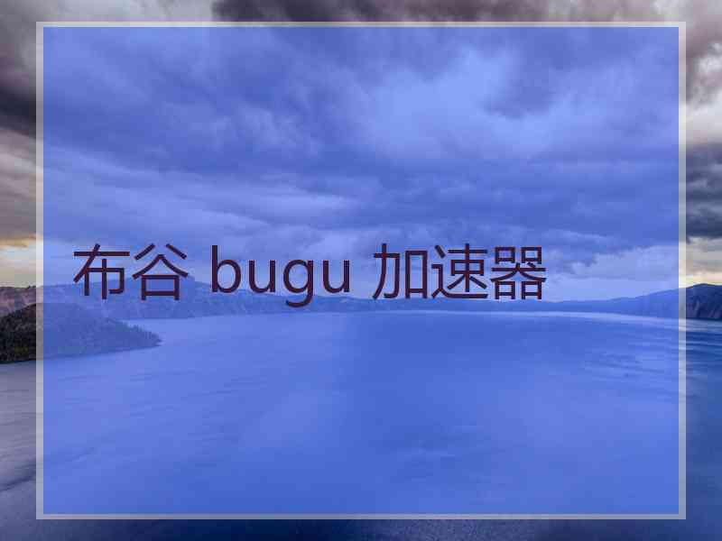 布谷 bugu 加速器