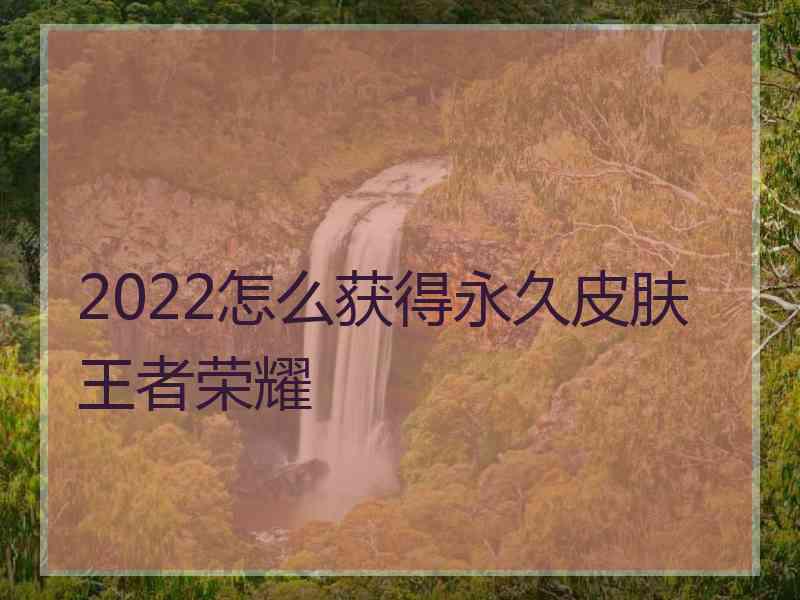 2022怎么获得永久皮肤王者荣耀