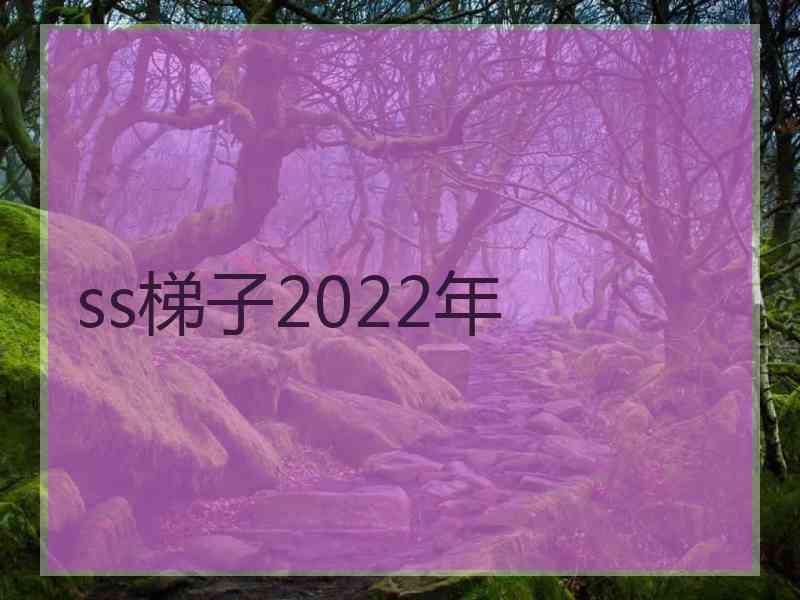 ss梯子2022年